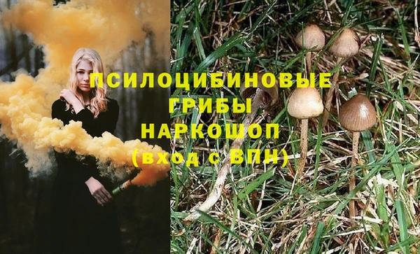 соль курить ск Арсеньев