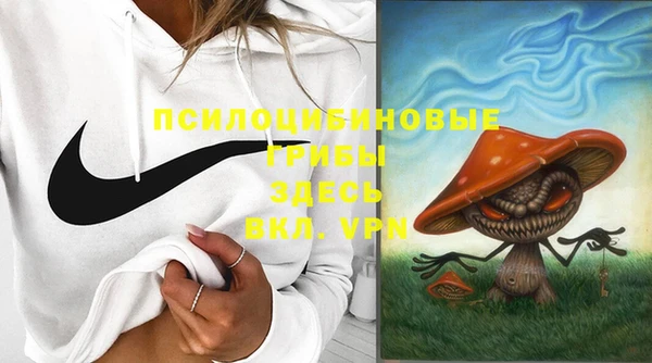 бошки Аркадак