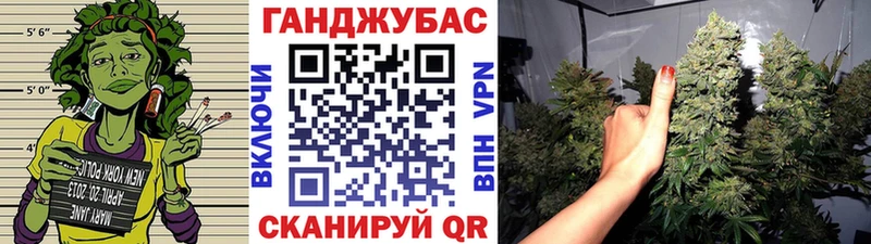 где можно купить   Городовиковск  Канабис White Widow 
